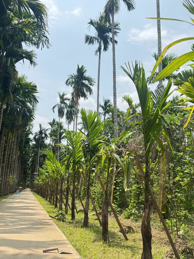 Cống ngăn mặn Âu Thuyền - Rạch Mọp - Cống ngăn mặn Âu Thuyền - Rạch Mọp, Nhon My, Can Tho 96000, Vietnam