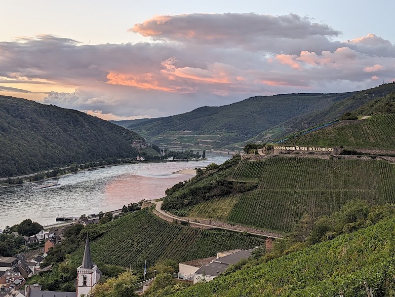 Niederwald in Rudesheim - Niederwald in Rudesheim, 65385 Rüdesheim am Rhein, Germany