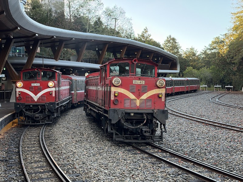 Chushan Station - Chushan Station 556, Taiwan, Nantou County, Xinyi Township, 祝山火車站