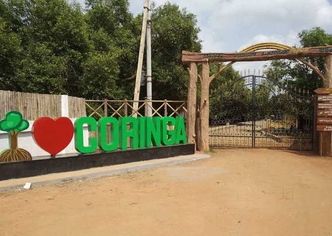 Coringa Wildlife Sanctuary - Coringa Wildlife Sanctuary, R7CX+F8V, Korangi, Kakinada, Andhra Pradesh 533461, India
