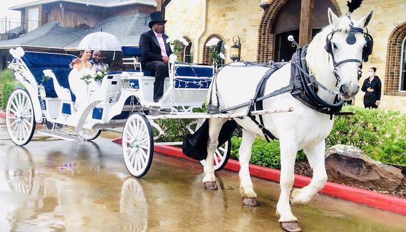 Vintage Carriage Company, LLC - Vintage Carriage Company, LLC 8013 Willow St, Houston, TX 77088, USA