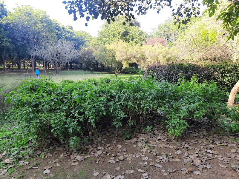 Tau Devilal Biodiversity Park - Tau Devilal Biodiversity Park Sector 52A, Gurugram, Haryana 122011, India