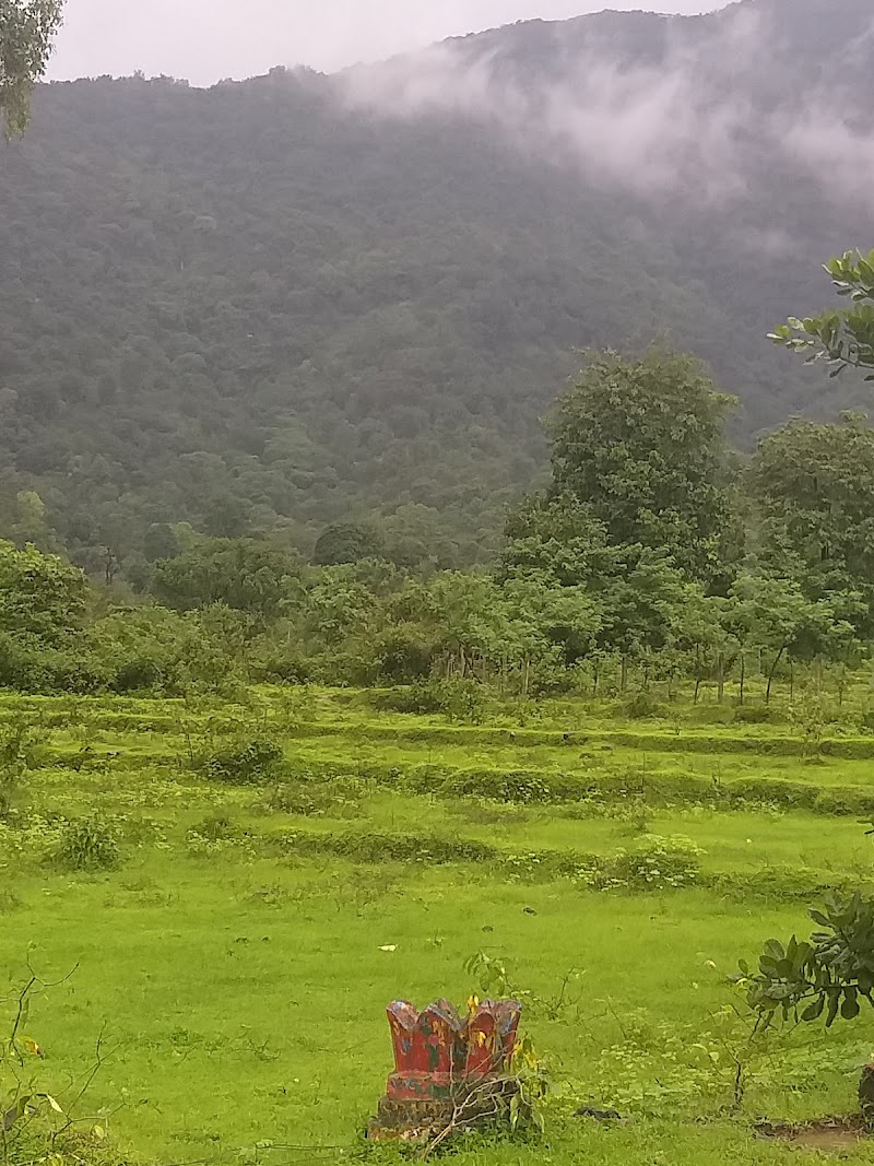 Hivrem Waterfall - Hivrem Waterfall, J4WX+HQ6, Ivre Khurd, Goa 403506, India