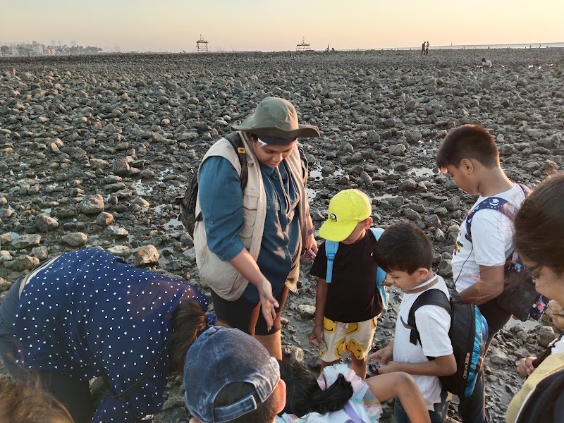 Marine Trail Juhu with Naturalist Explorers - Marine Trail Juhu with Naturalist Explorers 27, near pagali saree, Chandrabai Nagar, Juhu, Mumbai, Maharashtra 400049, India