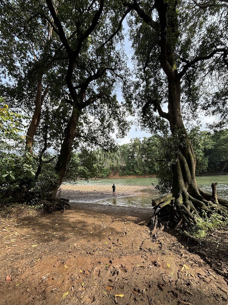The Local Beat, Goa - The Local Beat, Goa Campal, Panaji, Goa 403001, India