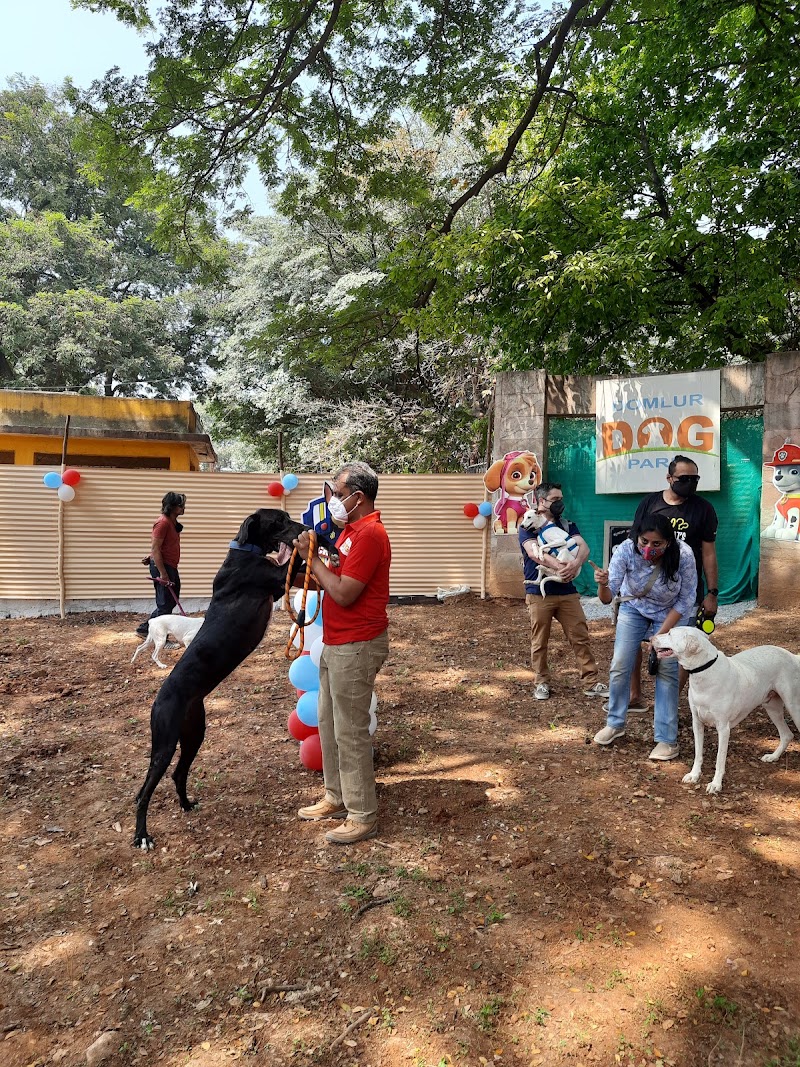 Domlur Dog Park - Domlur Dog Park, XJ6P+CM6, Domlur I Stage, 1st Stage, Domlur, Bengaluru, Karnataka 560071, India