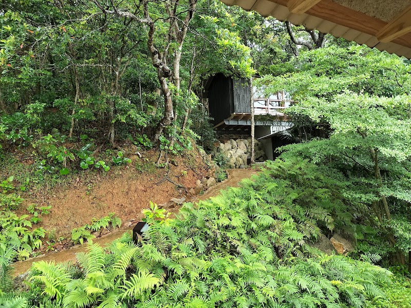 今帰仁 石蕗 - 今帰仁 石蕗 1969 Shoshi, Nakijin, Kunigami District, Okinawa 905-0426, Japan