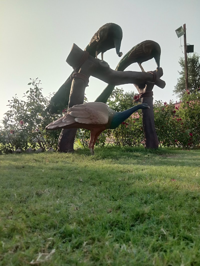The Fun Park - The Fun Park 6QMG+CRM, Balsamand Rd, Marval City, Professor Colony, Hisar, Bir Hisar, Haryana 125005, India
