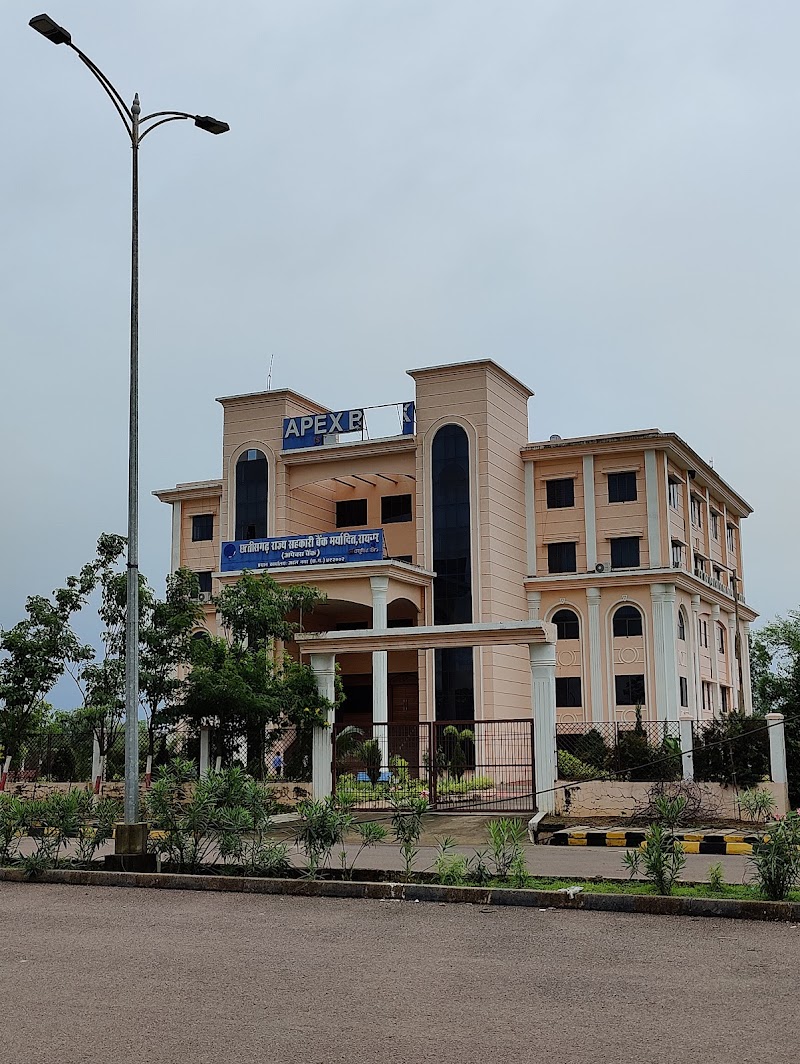 APEX BANK