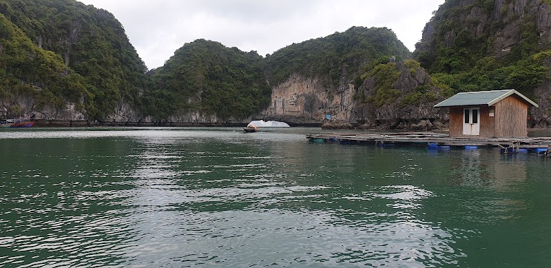 Cảng Hòn Gai - Cảng Hòn Gai 6A Lê Thánh Tông, Hồng Gai, Quảng Ninh 01106, Vietnam