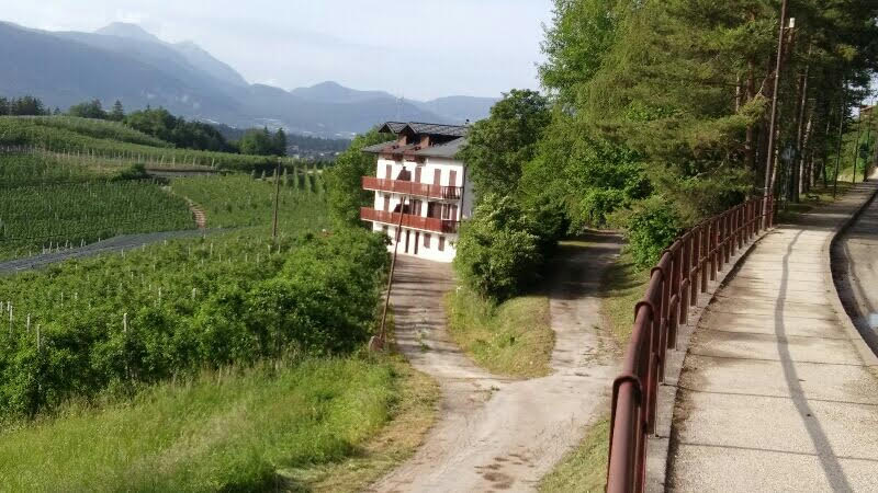 PINAMONTI MARTA - PINAMONTI MARTA Via Callegari, 1, 38012 Coredo TN, Italy