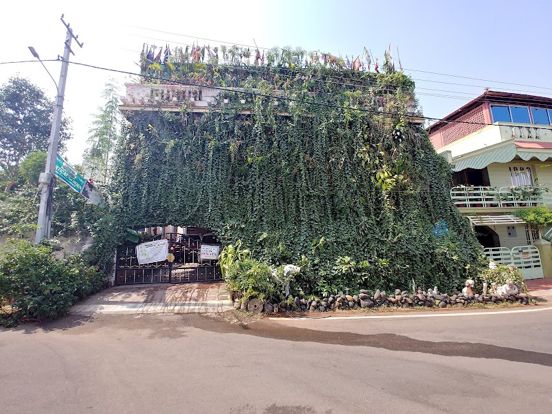 Vertical Garden Home Stay - Vertical Garden Home Stay, #1106, 10 th main, 11th Cross Road, Gokulam 3rd Stage, Gokulam, Mysuru, Karnataka 570002, India