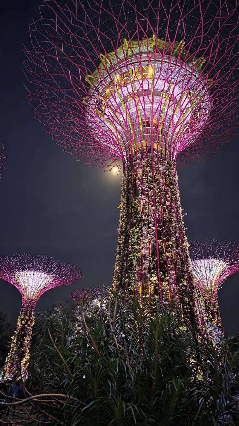 Supertree Grove - Supertree Grove 18 Marina Gardens Dr, Singapore 018953