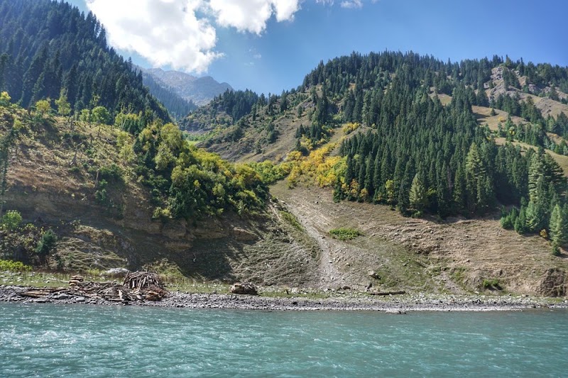 Gurez Valley - Gurez Valley, Forest Block 193503
