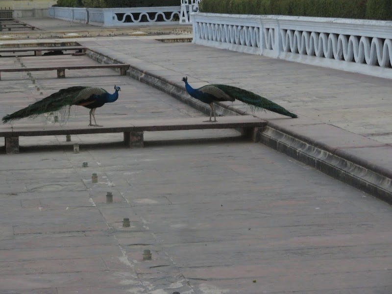 Garden Of City Palace - Garden Of City Palace WRHF+563, Gangori Bazaar, J.D.A. Market, Pink City, Jaipur, Jaipur Nagar Nigam Area, Rajasthan 302002, India