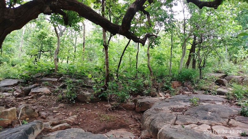 Ranipur wildlife sanctuary - Ranipur wildlife sanctuary, Ranipur, kalyan garh, Manikpur, Rani Pur Kalyan Gar, Uttar Pradesh 210208, India