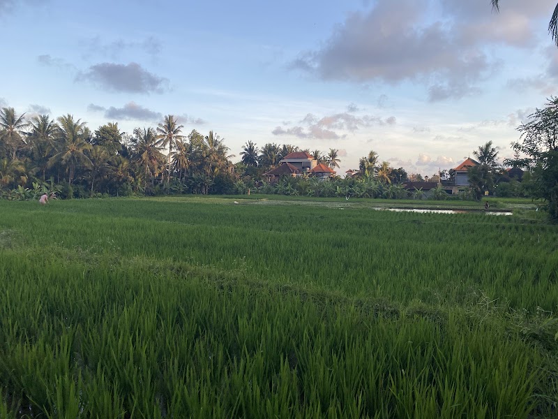Ubud Shanti Rice Field House - Ubud Shanti Rice Field House, F7X5+G55, Jl. Subak Sok Wayah, Ubud, Kecamatan Ubud, Kabupaten Gianyar, Bali 80571, Indonesia