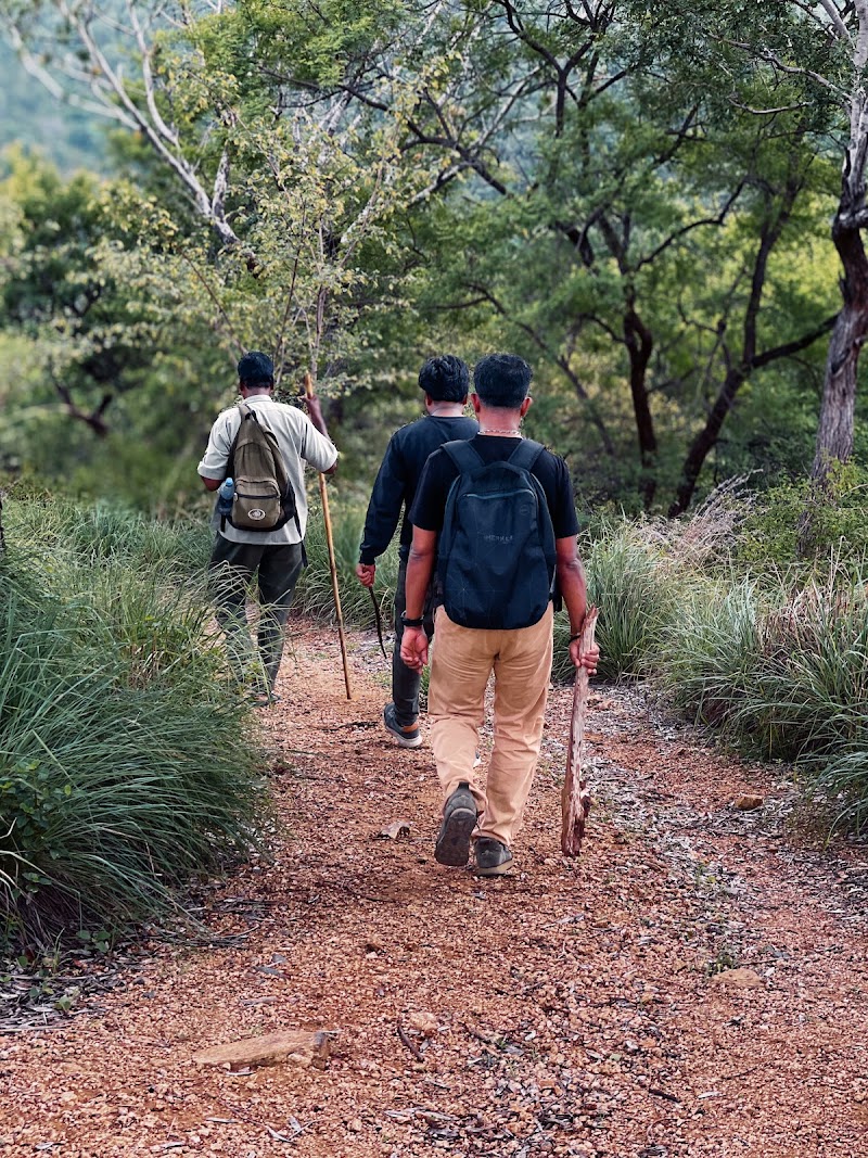 Cauvery Wildlife Sanctuary,Mandya-Ramanagara zone. - Cauvery Wildlife Sanctuary,Mandya-Ramanagara zone., 8862+JQX, Basavana Betta Forest, Karnataka 571421, India