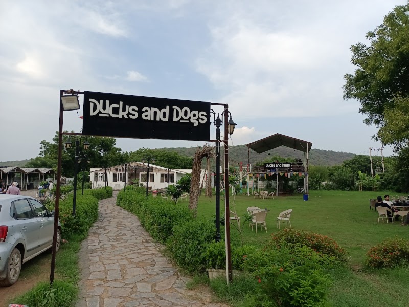 Ducks and Dogs Cafe - Ducks and Dogs Cafe Pandala Hills, Garat Pur Bas, Haryana 122101, India