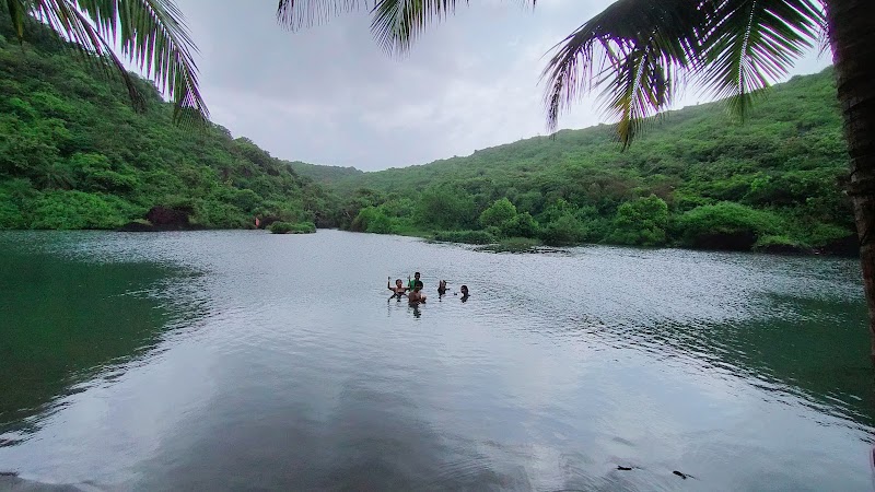 Arambol Sweet Water Lake - Arambol Sweet Water Lake, Goa 403524