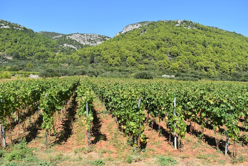 Korcula Cabrio Wine Tour • Korkyra INFO - Korcula Cabrio Wine Tour • Korkyra INFO, Trg Petra Segedina 3a, 20260, Korčula, Croatia
