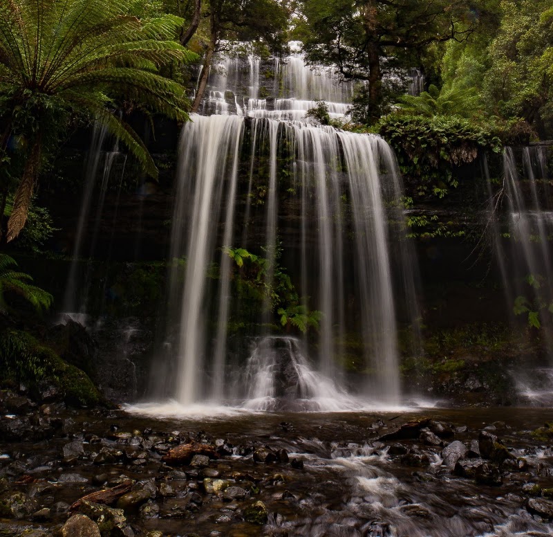 Mount Field National Park - Mount Field National Park, 66 Lake Dobson Rd, National Park TAS 7140, Australia