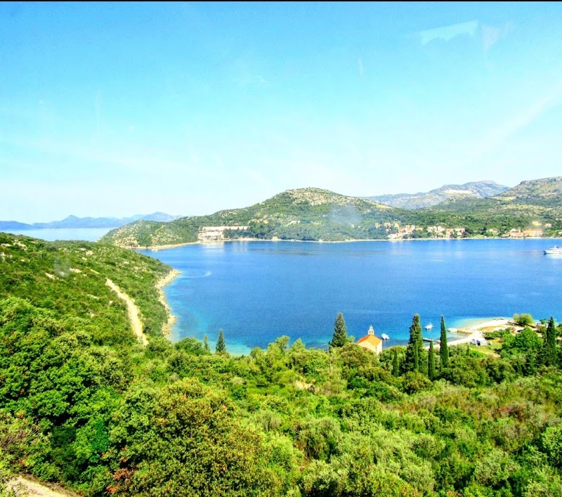 Dalmatian coastal - Dalmatian coastal, Croatia