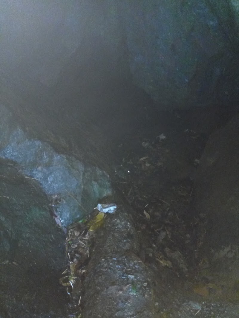 Ayarpatta - Ayarpatta, Nainital, Uttarakhand 263001, India