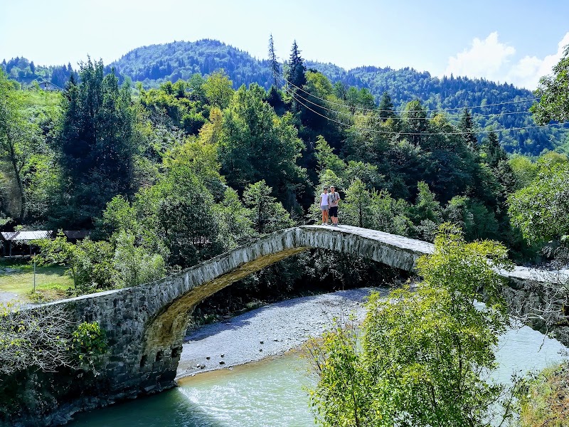 Dandalo Bridge - Dandalo Bridge, J4W5+J3Q, Jalabashvilebi, Georgia