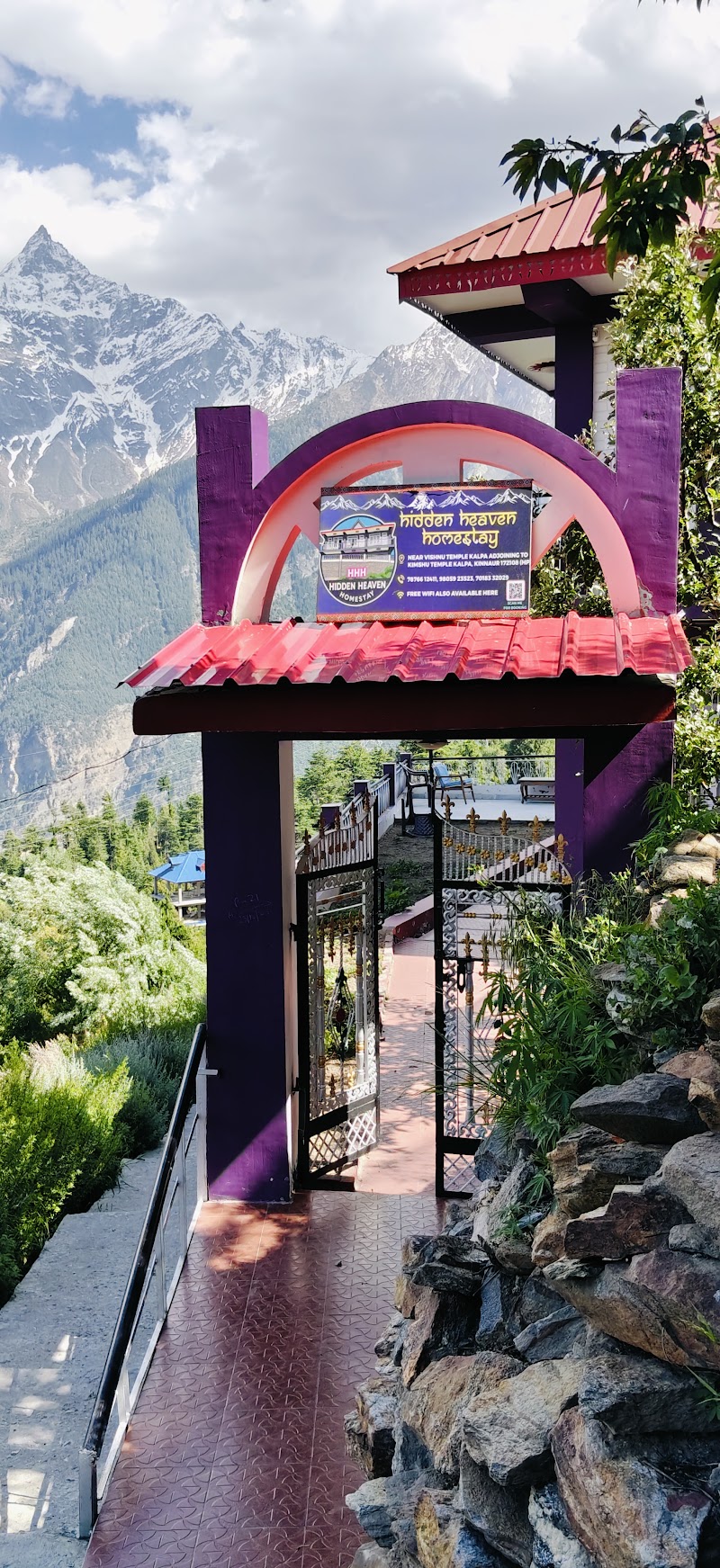 The Hidden Heaven Homestay kalpa - The Hidden Heaven Homestay kalpa anuragnegiS/O, dev raj negi, tehsil, near by vishnu temple, Kalpa, Saryo, Himachal Pradesh 172108, India