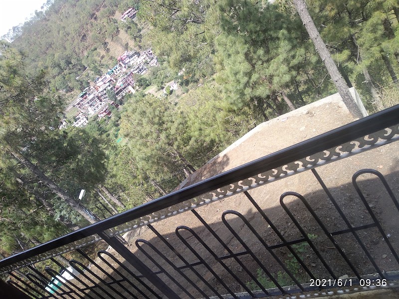pine villa - pine villa Lawrence school Road Sukhi Johri Chowk, Dharampur, Himachal Pradesh 173209, India