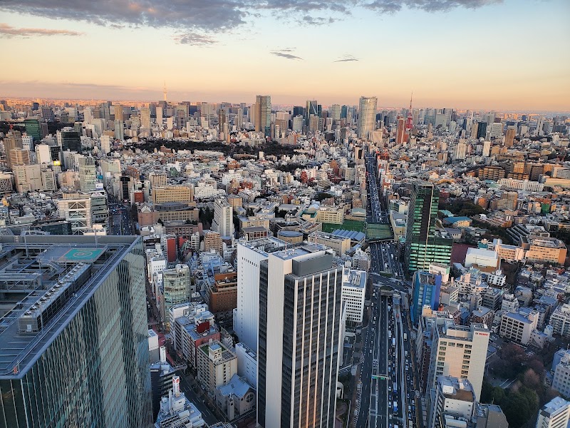 Shibuya Sky - Shibuya Sky Japan, 〒150-6145 Tokyo, Shibuya, 2-chōme−24−１２ スクランブルスクエア 14階・45階 46階・屋上