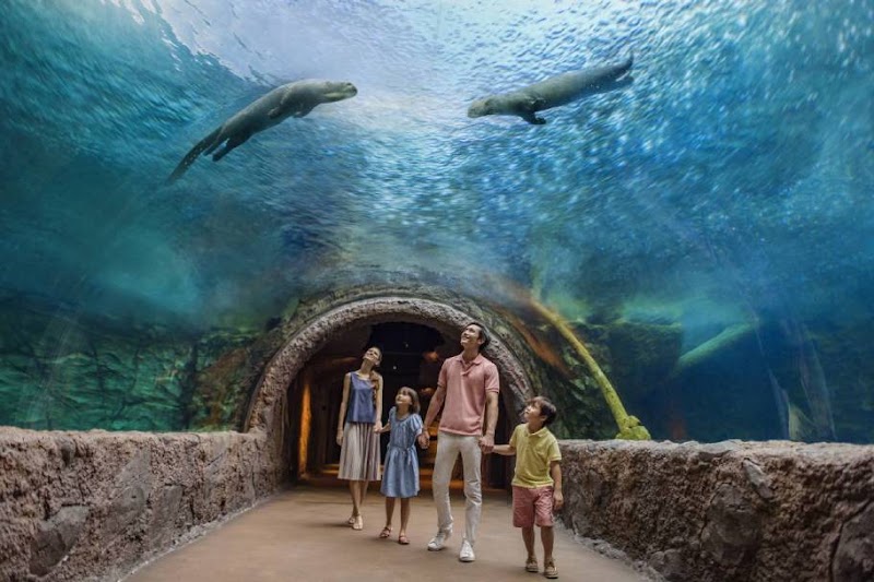 River Wonders - River Wonders 80 Mandai Lake Rd, Singapore 729826