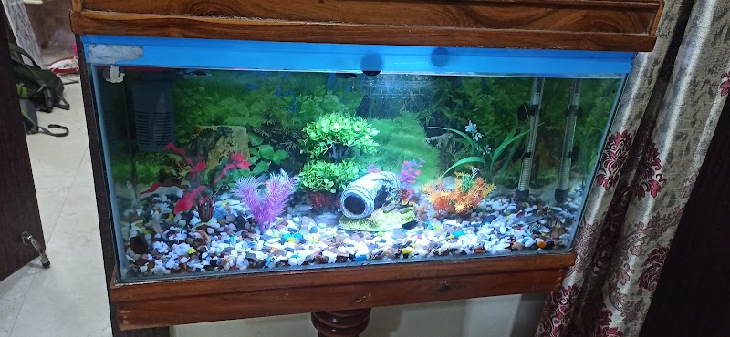 AR Fish hub - AR Fish hub, Street No. 1, Kohka, Bhilai, Chhattisgarh 490023, India