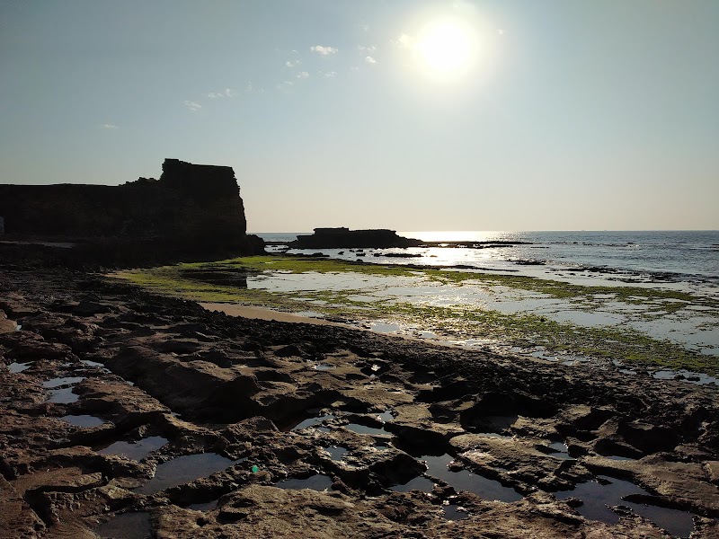 Jalandhar Beach - Jalandhar Beach, PX5P+H2Q, Diu, 362520, India