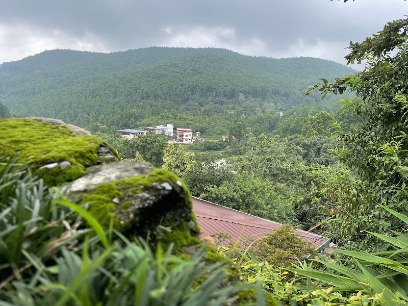 Tree of Life Resort, Dehradun Foothills - Tree of Life Resort, Dehradun Foothills 101, Bharatwala, Jamoliwala, Bhagwant Pur, Bisht Gaon, Dehradun, Uttarakhand 248003, India