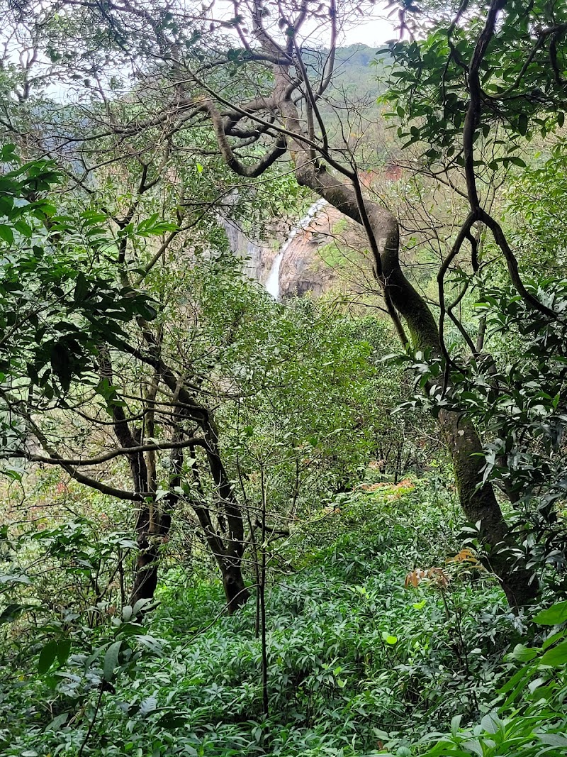 Lords Point, Matheran - Lords Point, Matheran X7J6+447, Matheran, Maharashtra 410102, India
