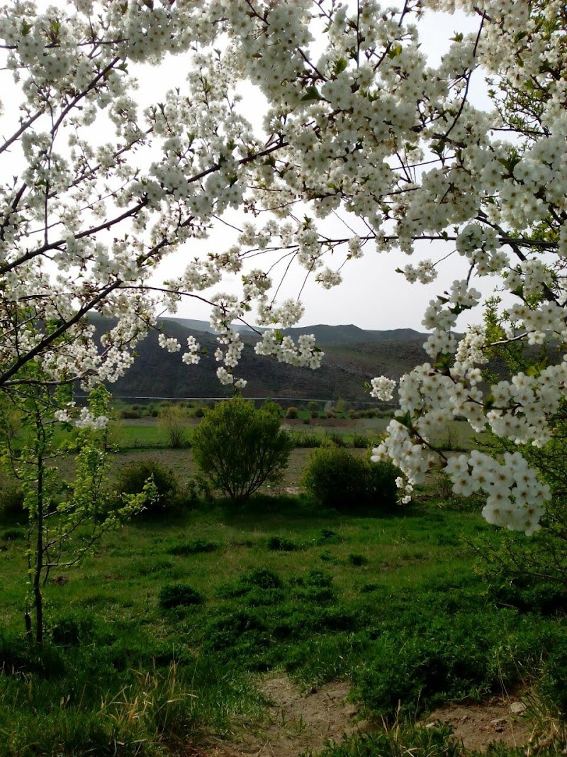 minabad - minabad, FG78+XJ6, Minabad, Ardabil Province, Iran