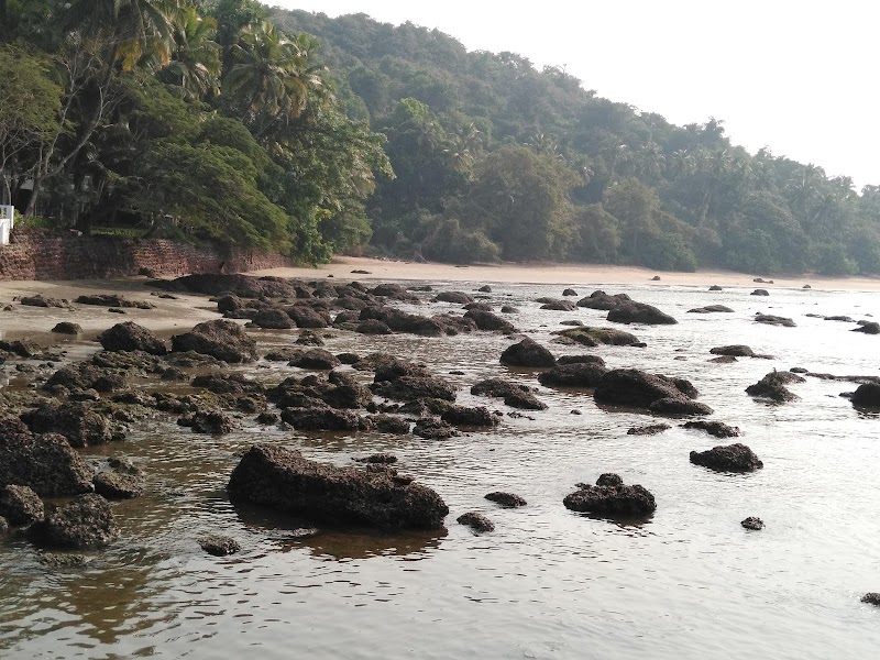 Bambolim Beach - Bambolim Beach, CVX2+RQR, Bambolim, Goa 403206, India