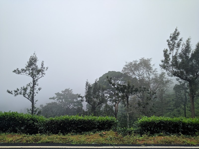 Nilgiri hills view point - Nilgiri hills view point Nelliyalam, Nadugani, Tamil Nadu 643211, India