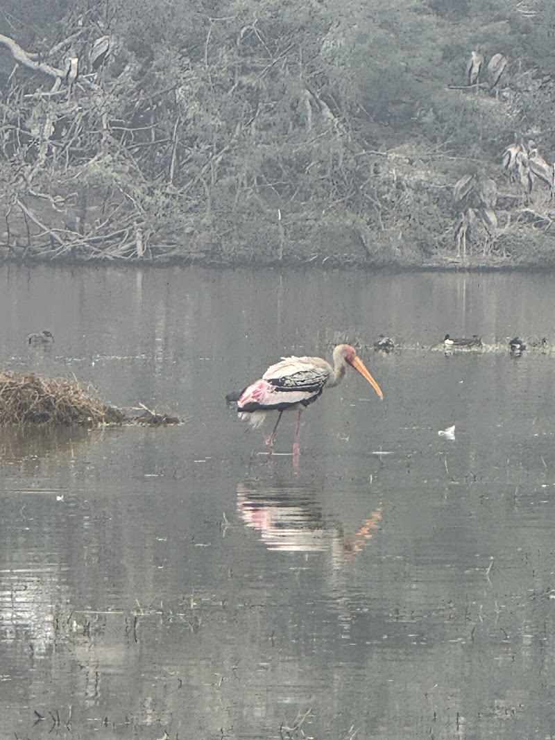 Sultanpur National Park Entry Gate - Sultanpur National Park Entry Gate 22, Sultanpur, Gurugram, Haryana 122506, India