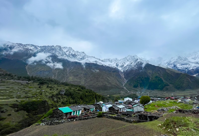 panchachuli base camp - panchachuli base camp, 6GRG+R3C, Sobala R.F., Uttarakhand 262545, India