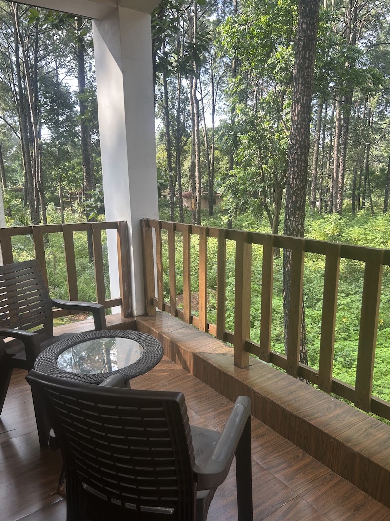 Forest guest house - Forest guest house, F7GG+JCX, Netarhat, Jharkhand 835218, India