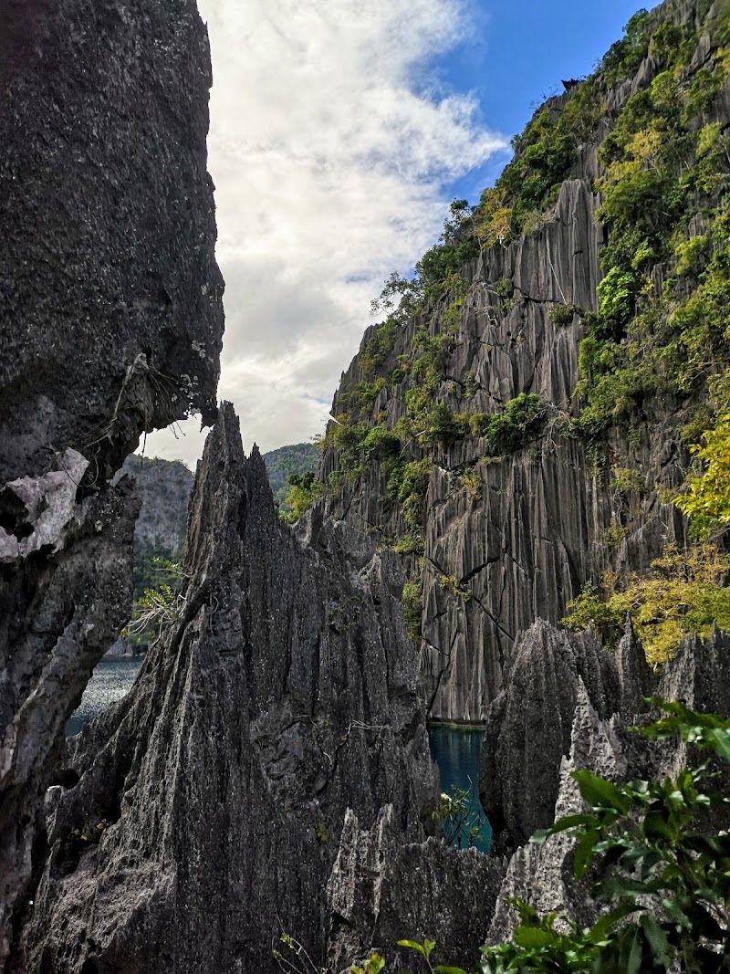 Barracuda Lake - Barracuda Lake Barracuda Lake, Coron, Palawan, Philippines