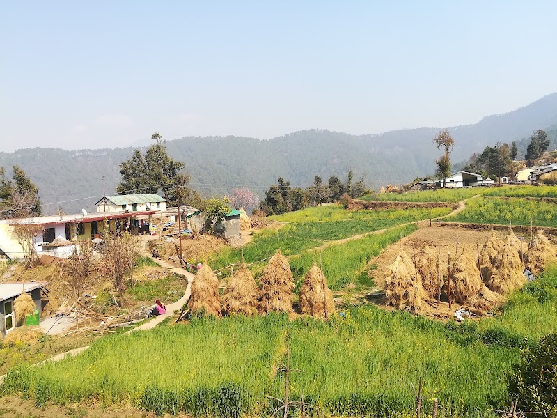 Gwaldam State - Gwaldam State, Uttarakhand, India