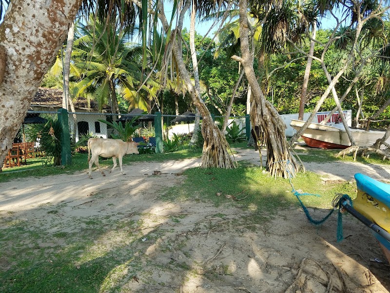 Villa Tissa Beach Resort - Villa Tissa Beach Resort, No 64, Kadabeddegama, Weligama 81700, Sri Lanka