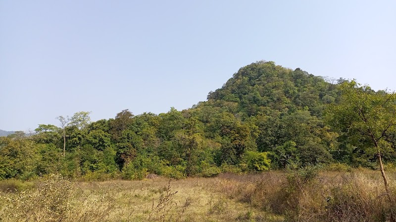 Gandhamardana Hill - Gandhamardana Hill Gandhamardana Hill, Odisha, India