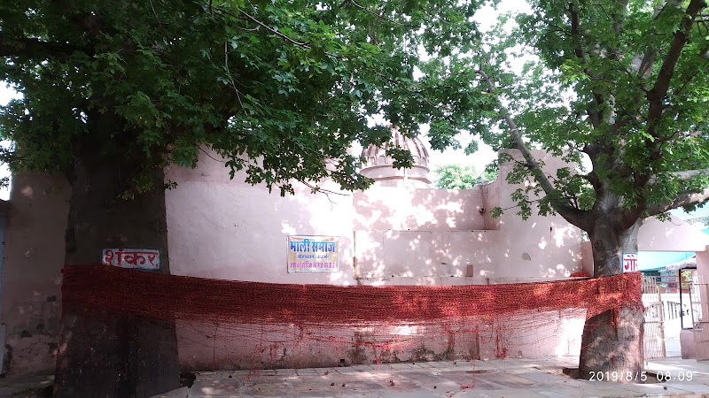 Kalp Vriksh Shiv Temple - Kalp Vriksh Shiv Temple, FJJX+MW4, Sarveshwar Nagar, Ajmer, Rajasthan 305001, India