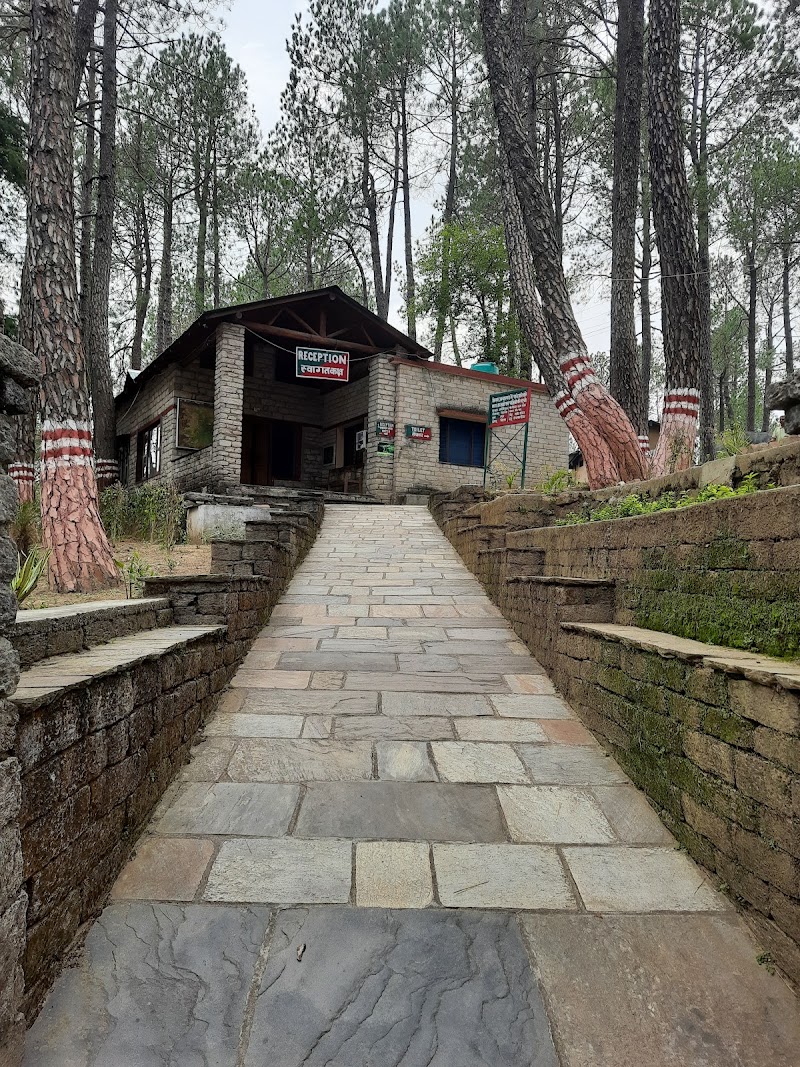 Binsar - Binsar Binsar, Uttarakhand, India
