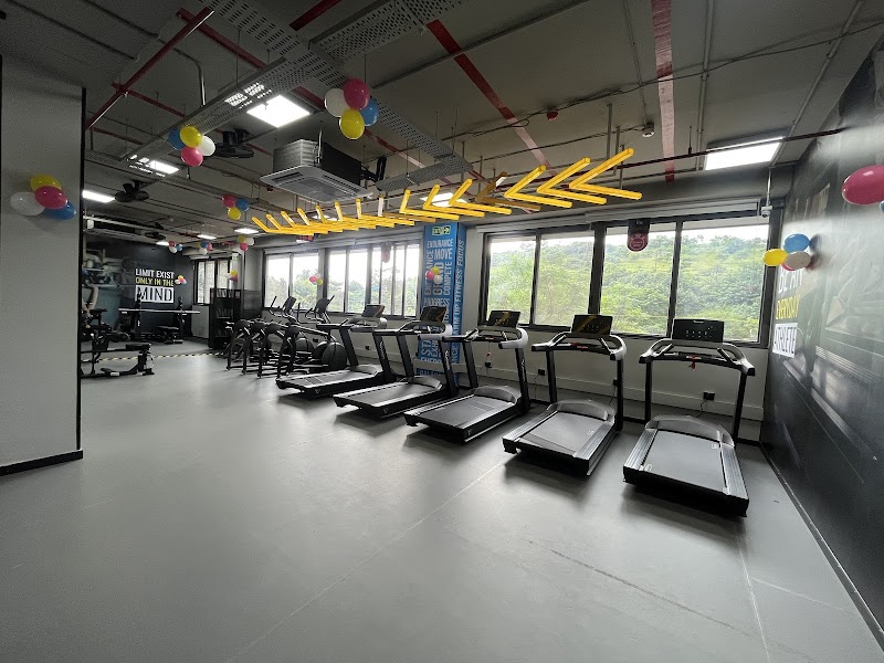 Cult Gym Sinhaghad | Best Gym in Sinhaghad, Pune - Cult Gym Sinhaghad | Best Gym in Sinhaghad, Pune, 1st Floor, Venkatesh Skydale, Rajaram Bridge, Sinhgad Rd, Vittalvadi, Hingne Khurd, Pune, Maharashtra 411051, India